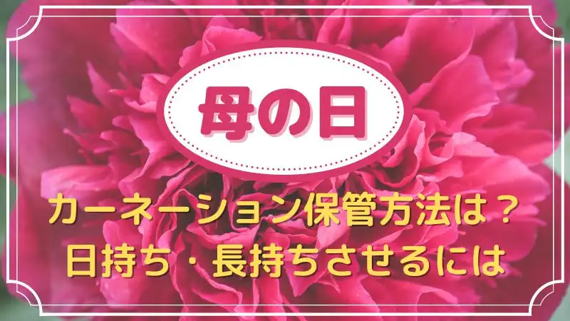 母の日のカーネーション保管方法は 渡すまで日持ち 長持ちさせたい