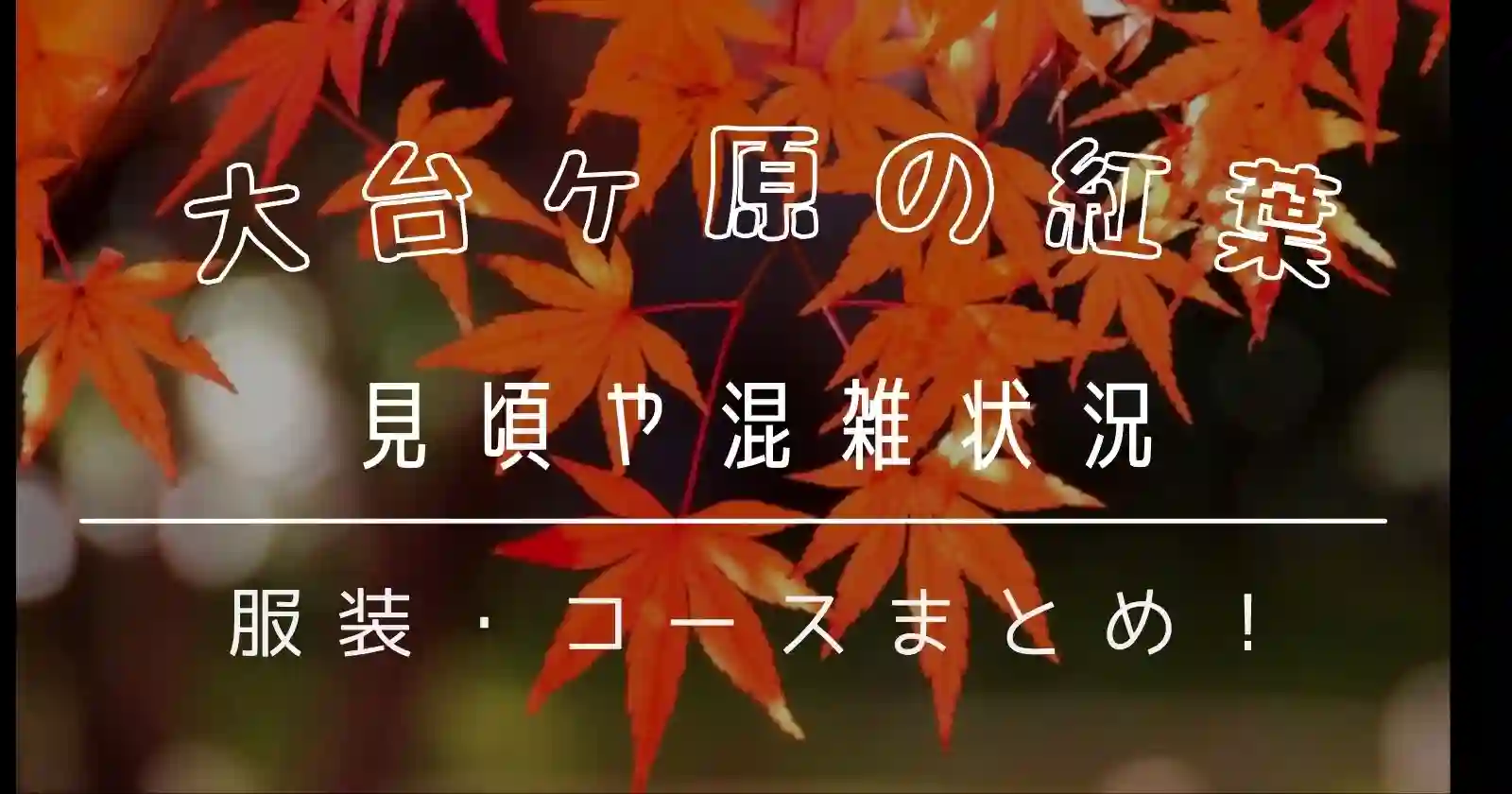 大台ヶ原の紅葉22の見頃と混雑をご紹介 駐車場とコース服装も